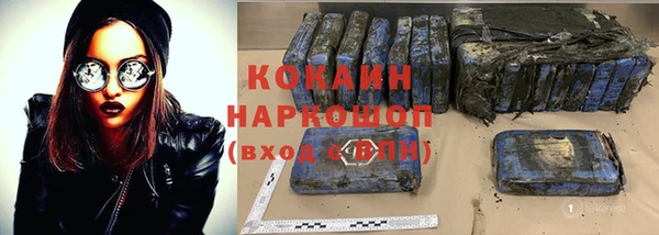 индика Алзамай