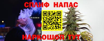 амф Кингисепп