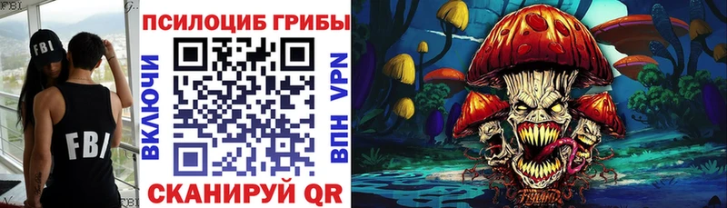 Псилоцибиновые грибы Cubensis  Кимры 